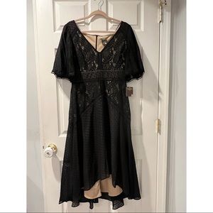 Taylor Brand Asymmetrical Calf Length Lace Cocktail Dress